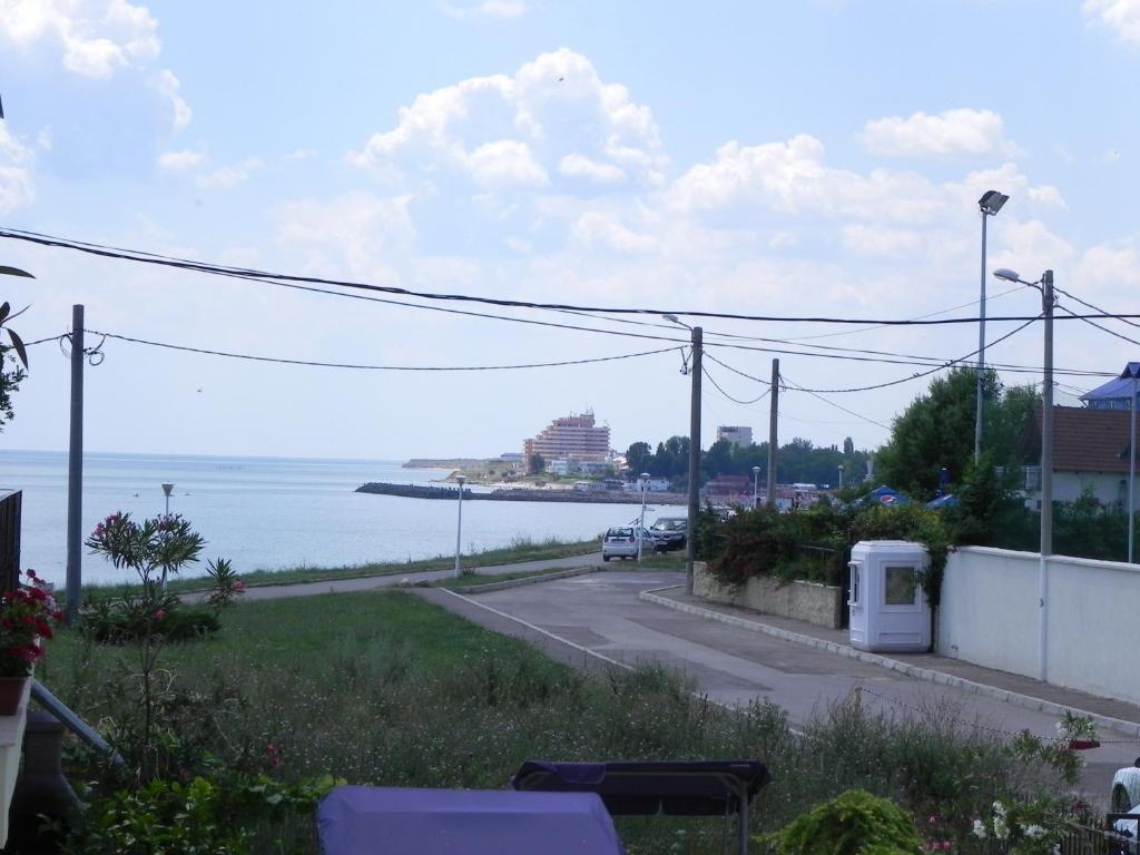 Pensiunea Iubesc Marea Костинешти Экстерьер фото